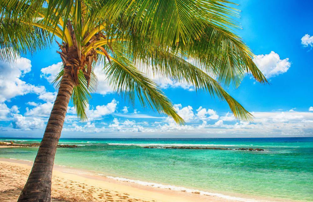 Beach #001