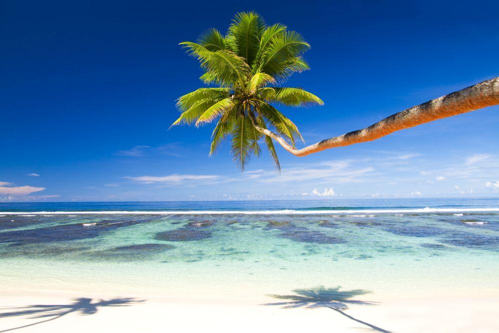 Beach #003