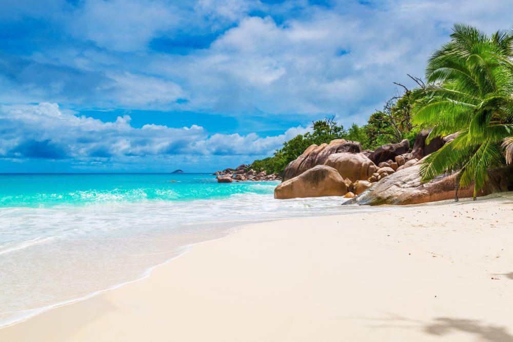 Beach #006