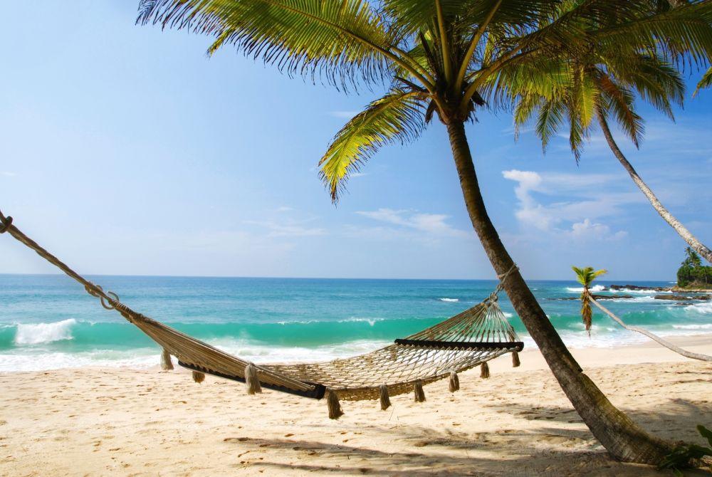Beach #007