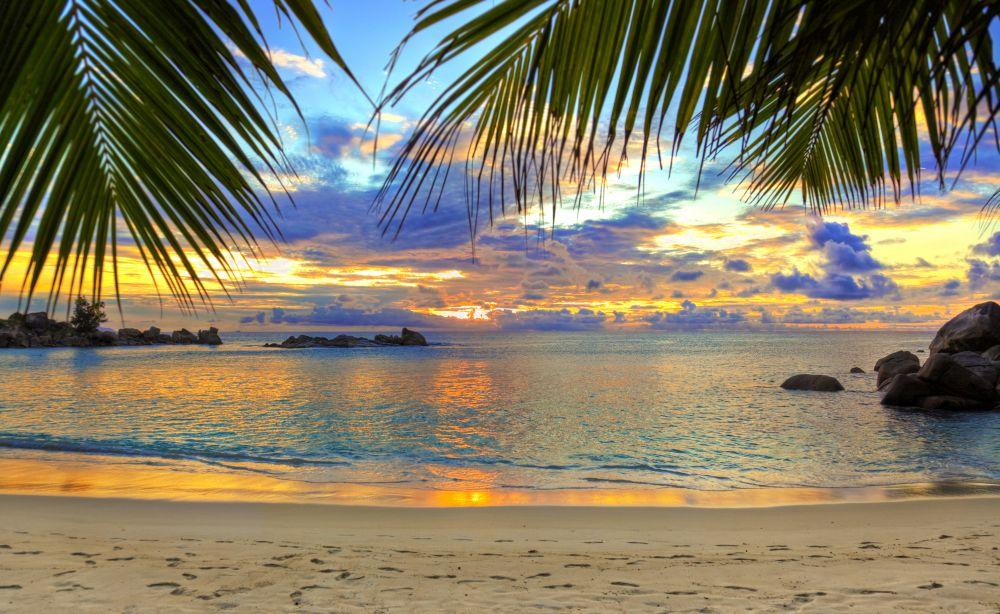 Beach #008