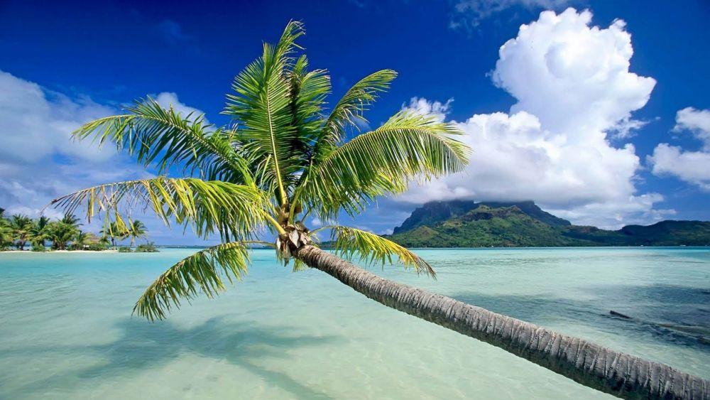 Beach #009