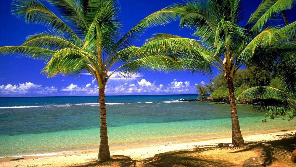 Beach #011
