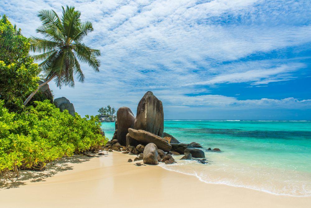 Beach #015