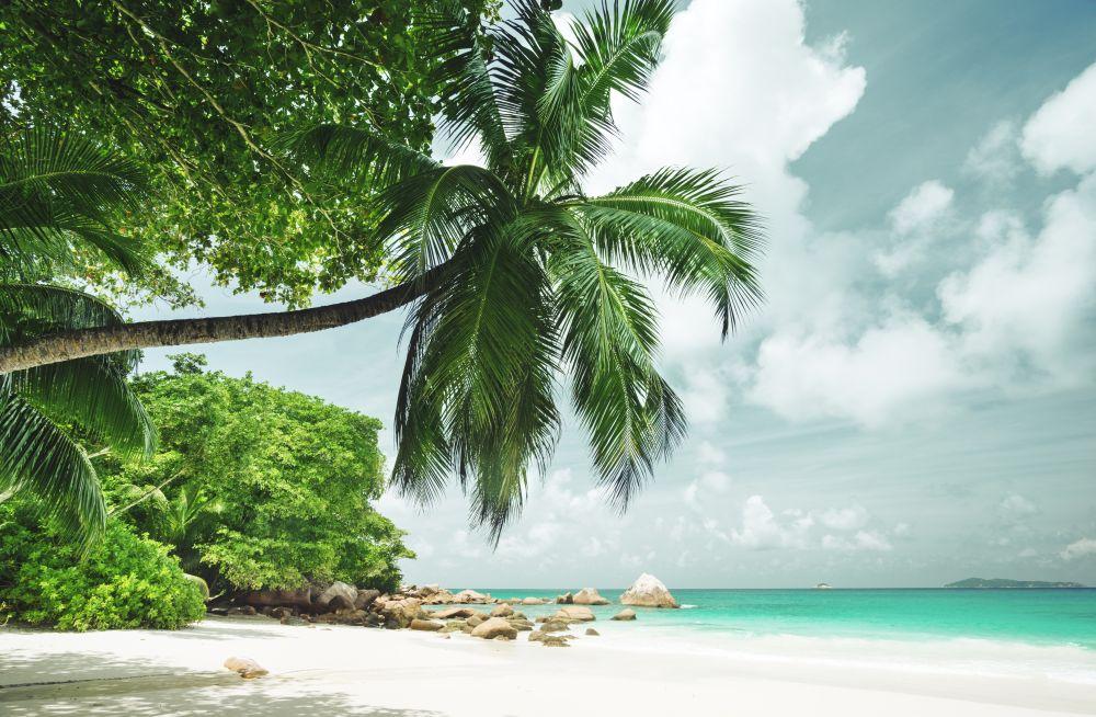 Beach #017