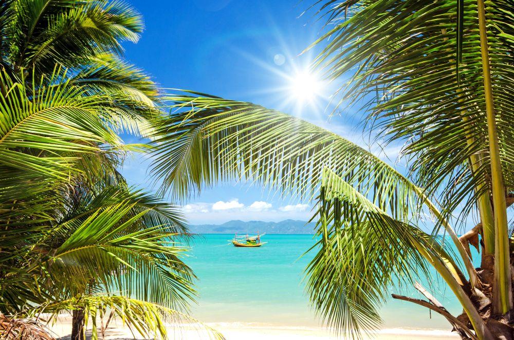Beach #019