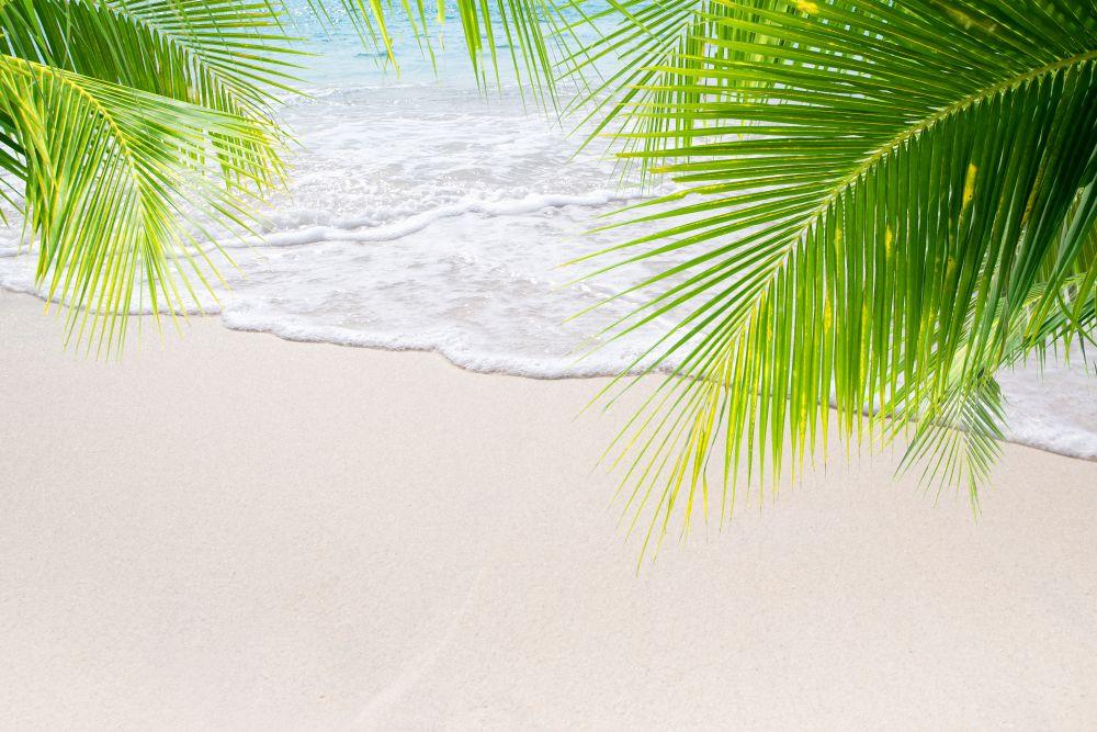 Beach #022