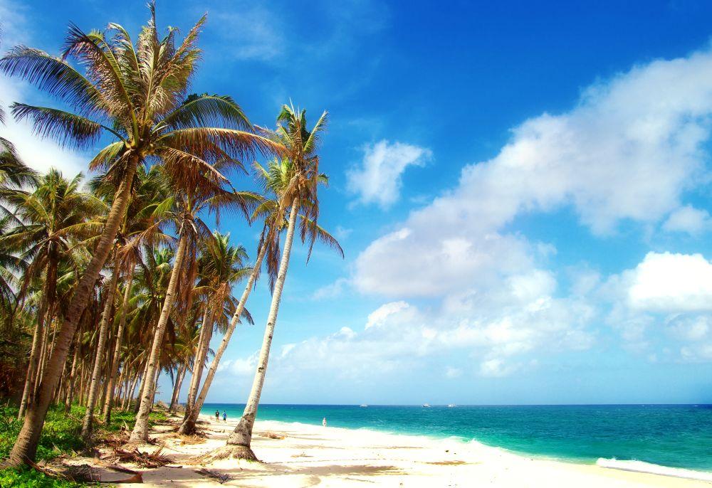 Beach #030