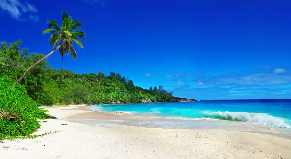 Beach #041