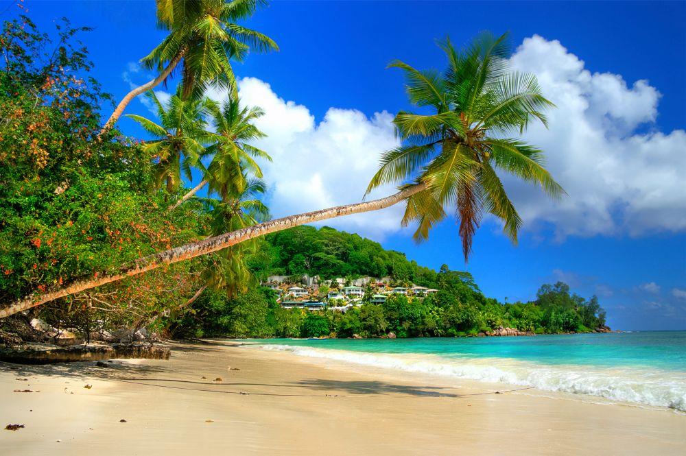 Beach #043