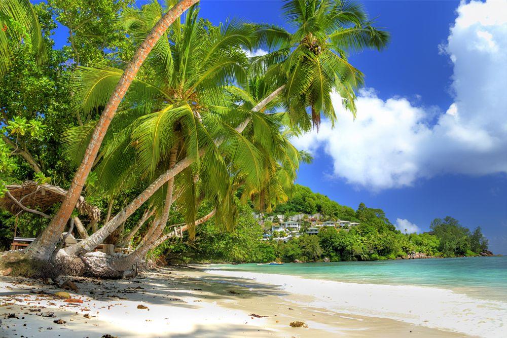 Beach #045