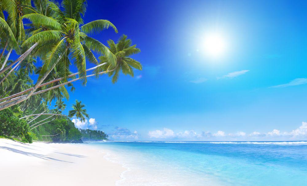 Beach #046