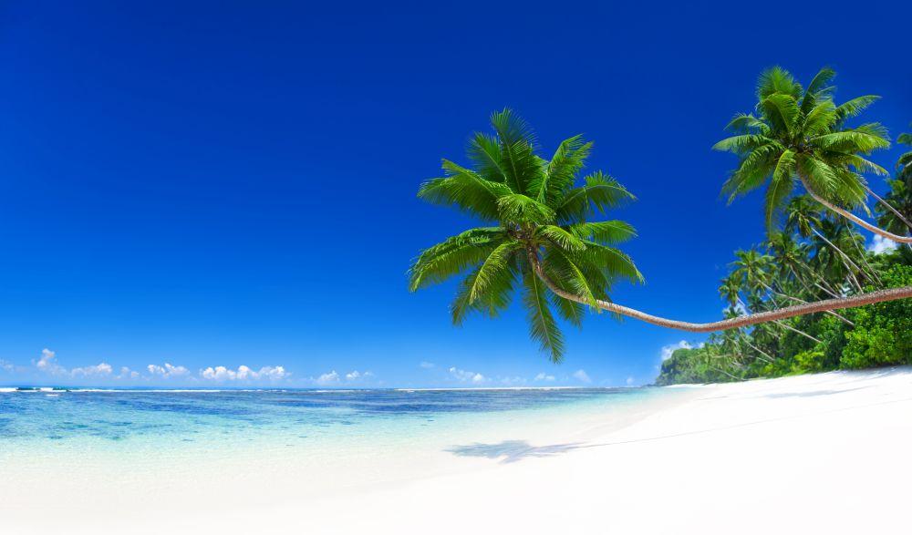 Beach #047