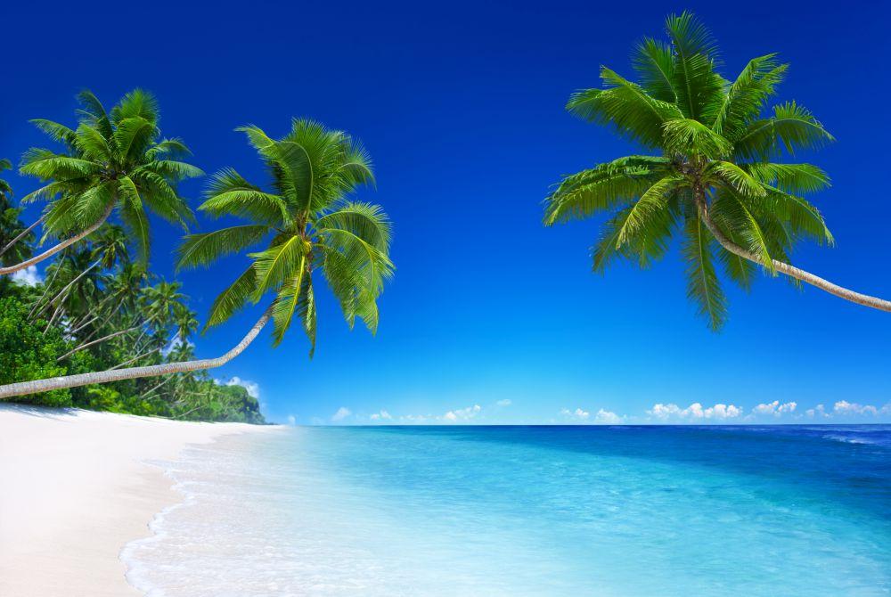 Beach #050