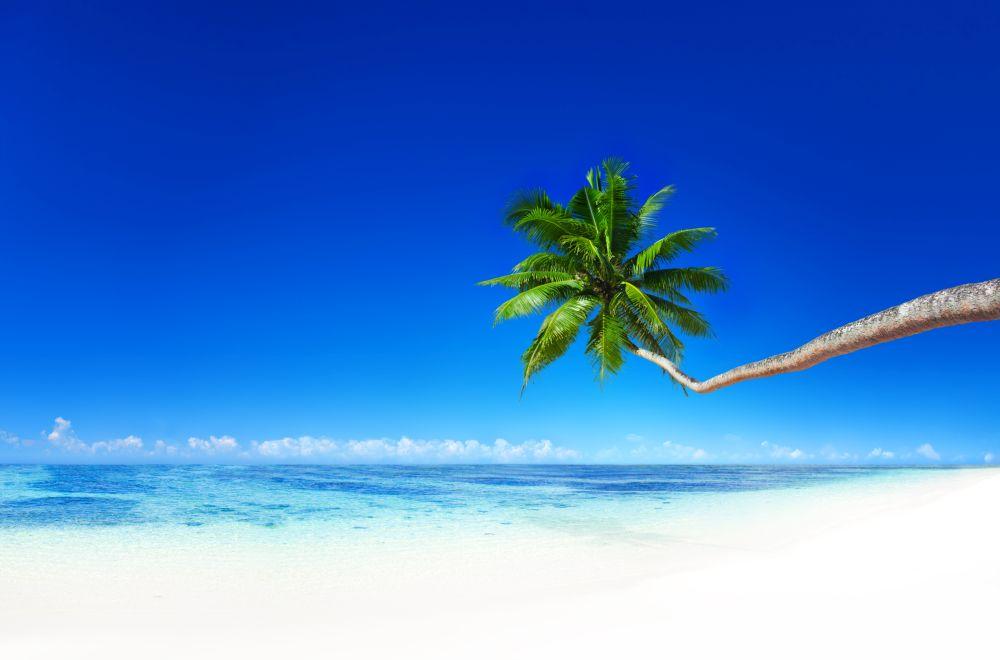 Beach #051