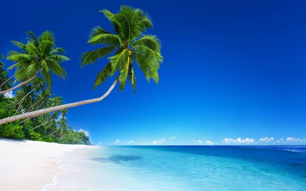 Beach #052
