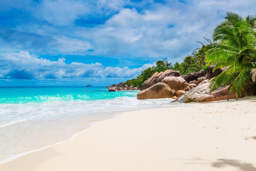 Beach #059