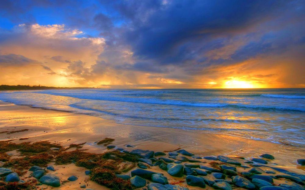 Beach #066