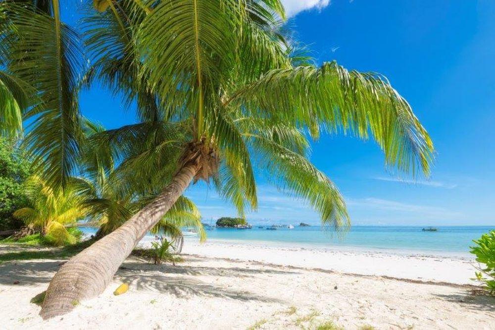 Beach #071