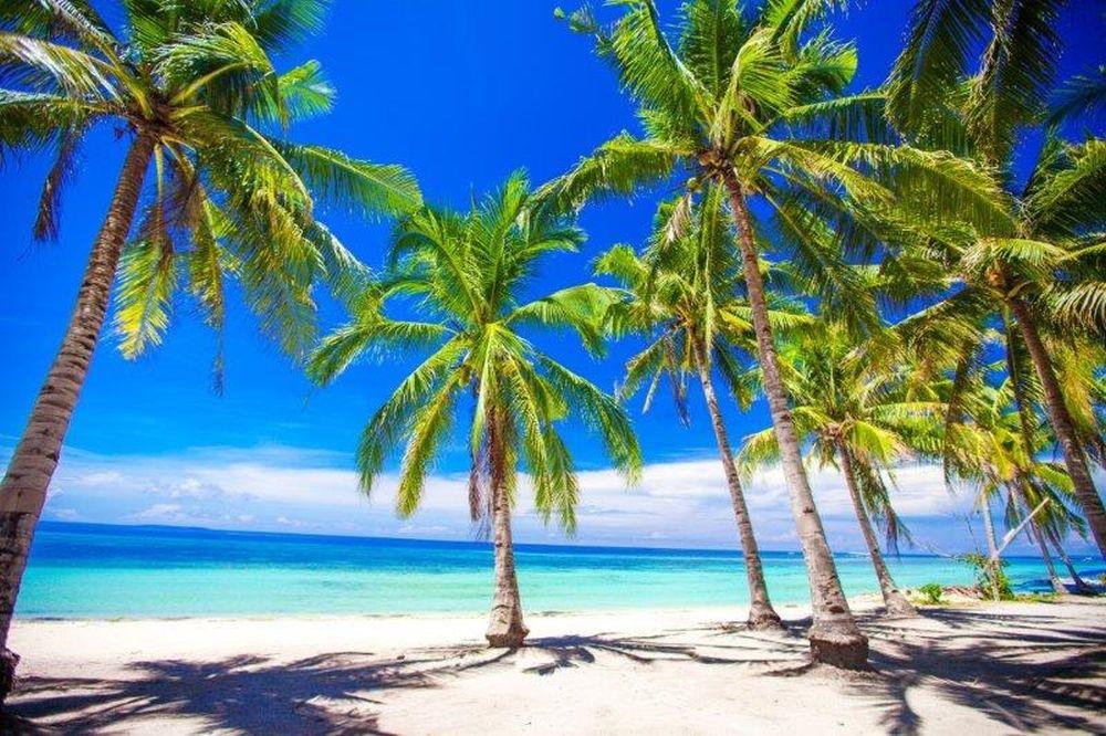 Beach #073