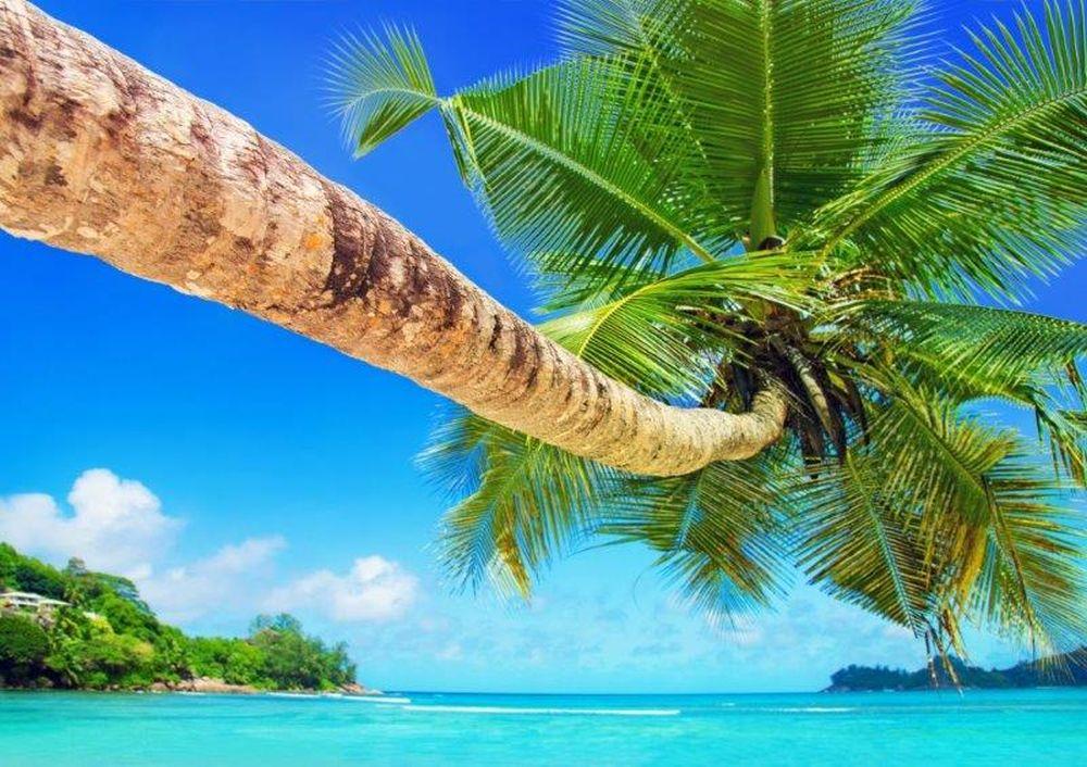 Beach #074