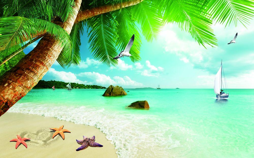 Beach #076