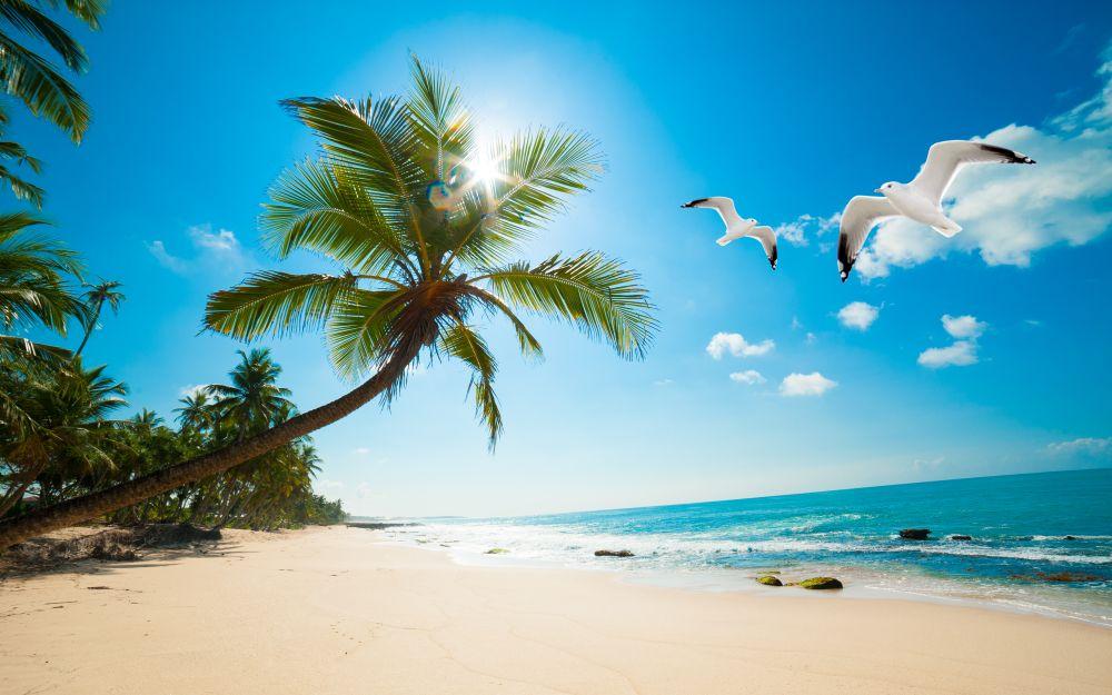 Beach #083