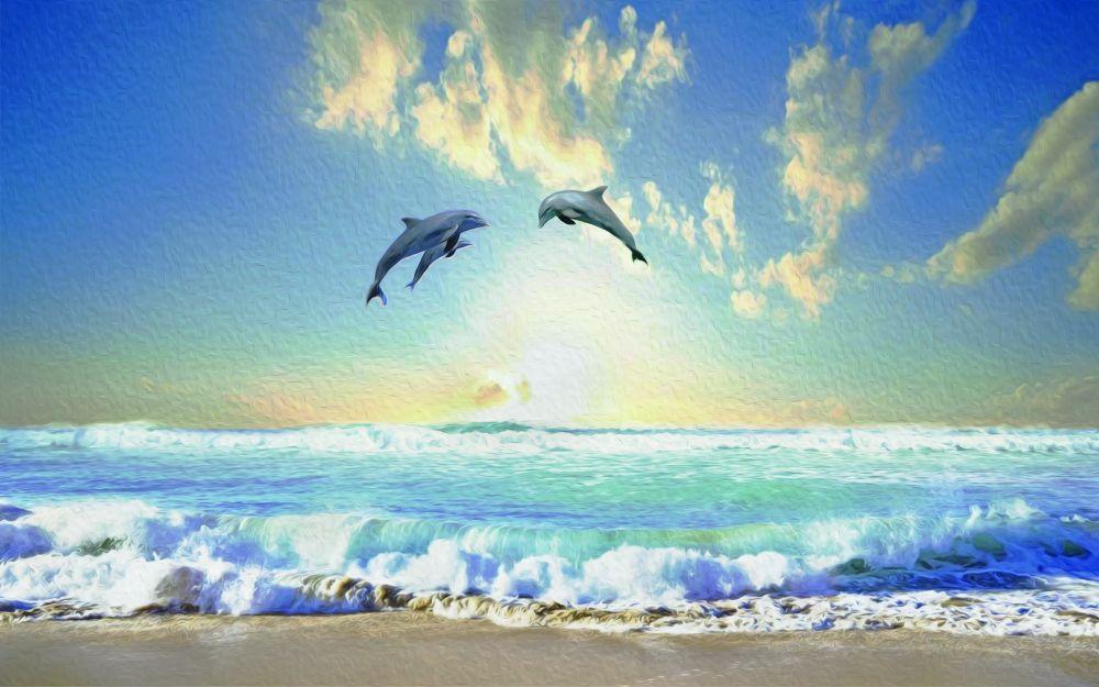Beach #084