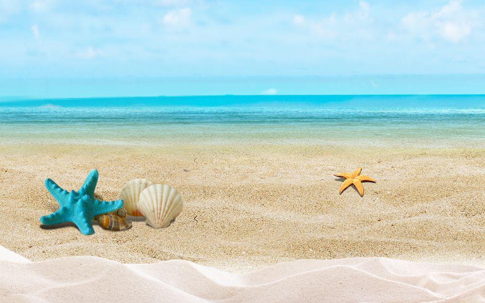 Beach #087