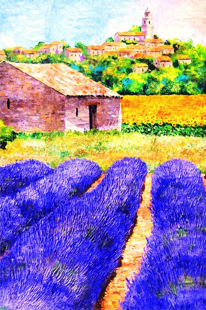 Countryside #503