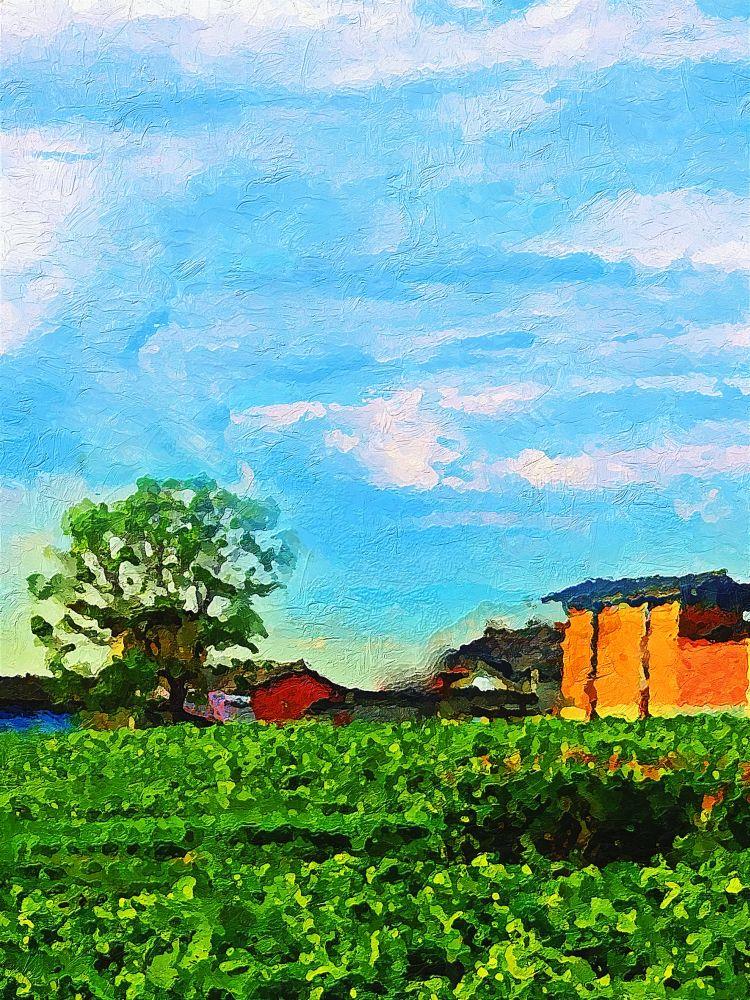 Countryside #509