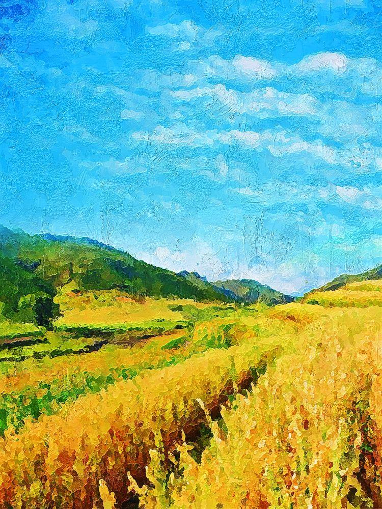 Countryside #510