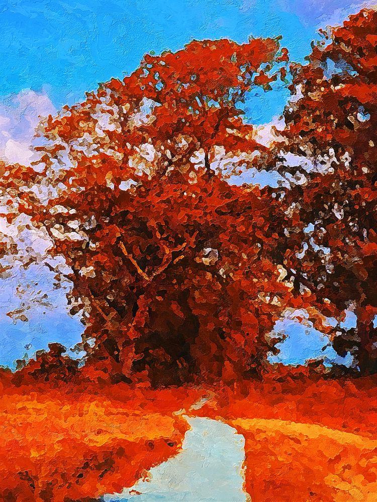 Countryside #514