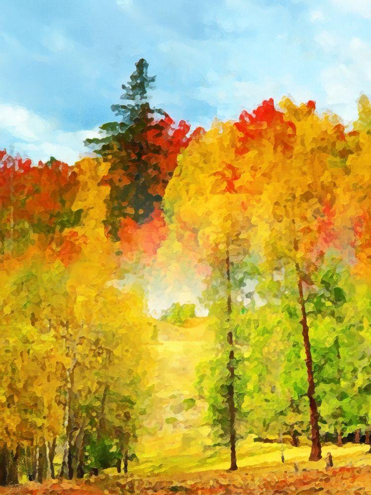 Countryside #516
