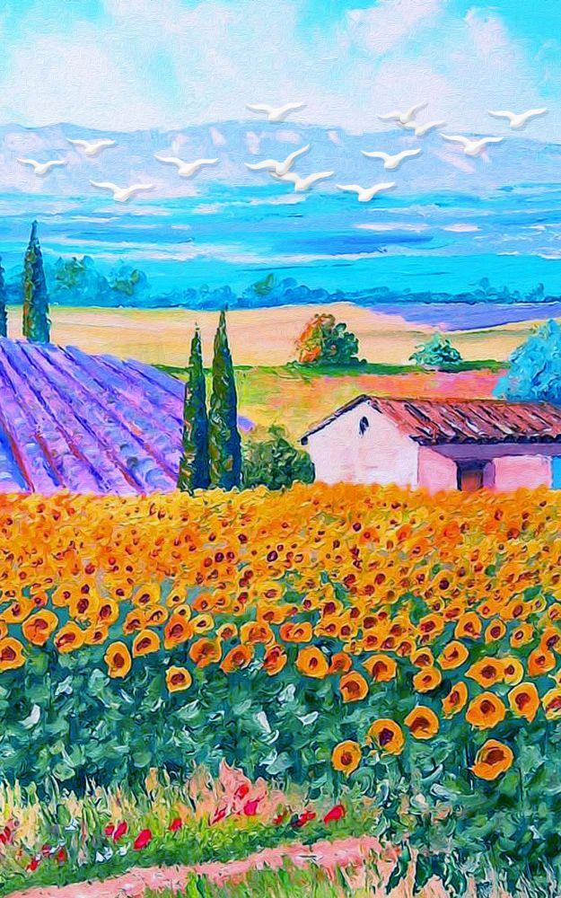 Countryside #517