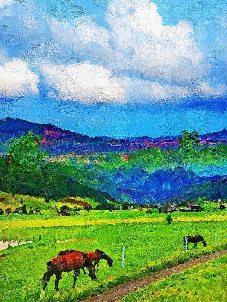 Countryside #518