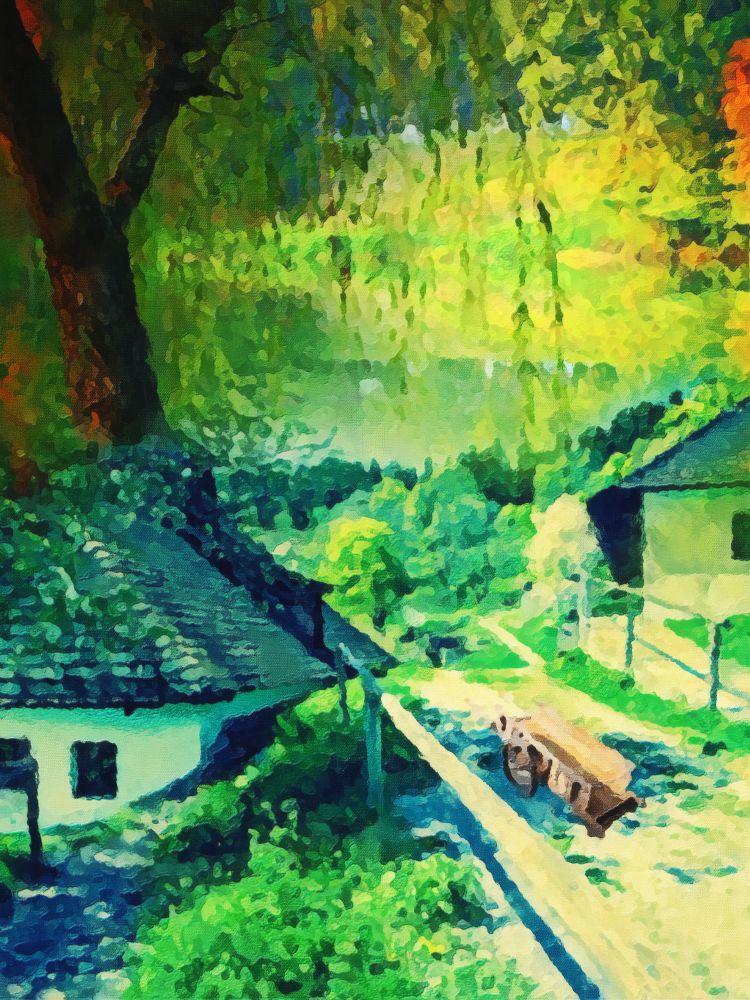 Countryside #520