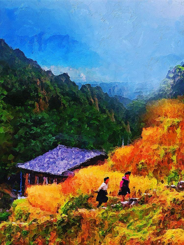 Countryside #521