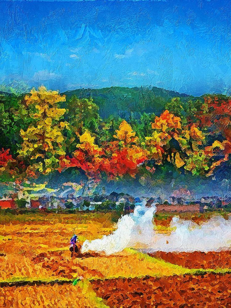 Countryside #522