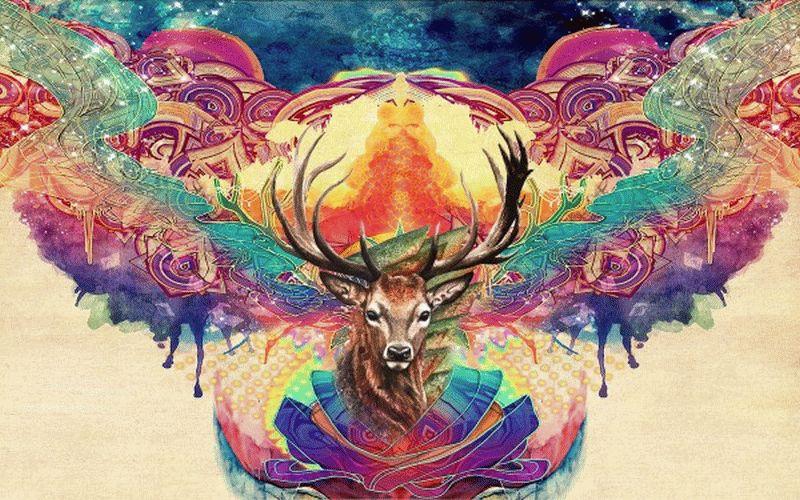 Deer #038