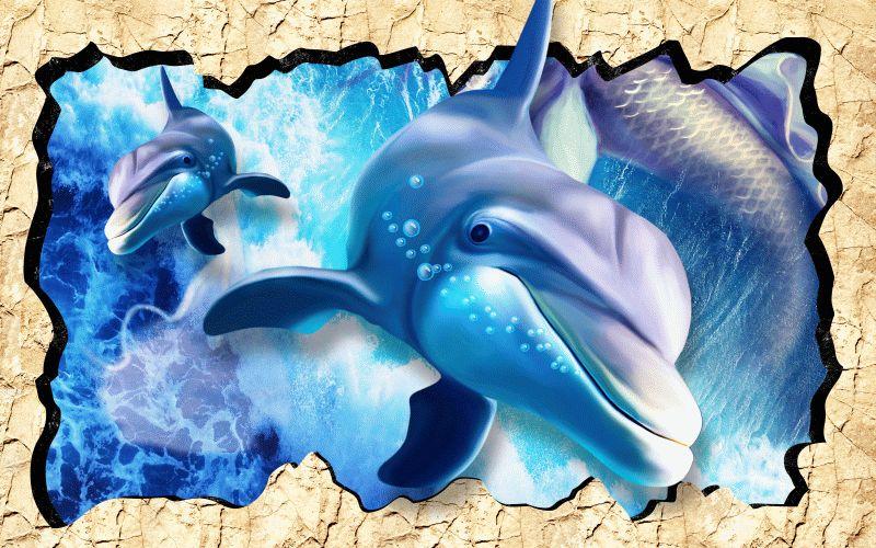 Dolphin #081