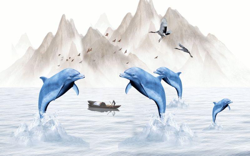 Dolphin #084