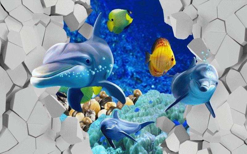 Dolphin #085