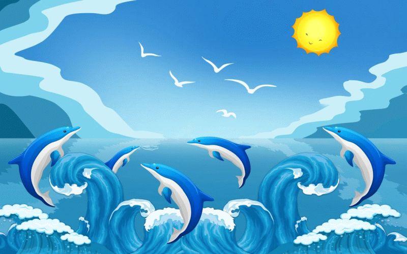 Dolphin #087