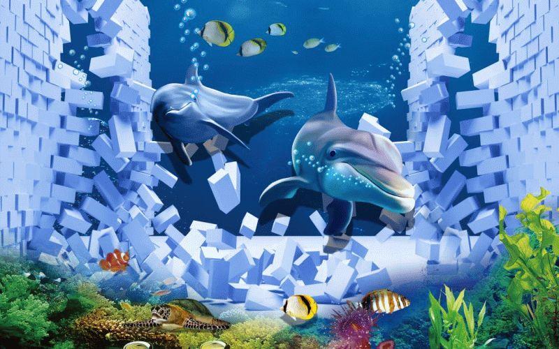 Dolphin #089