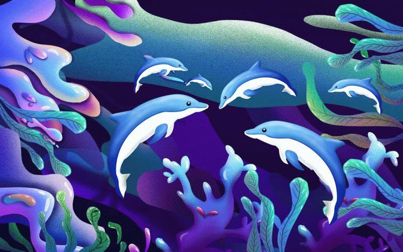 Dolphin #092