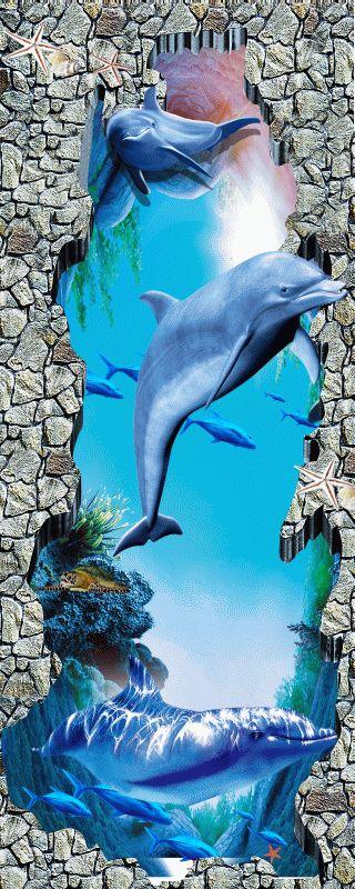 Dolphin #500