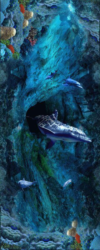 Dolphin #501