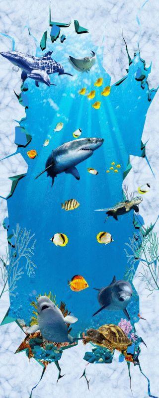 Dolphin #510