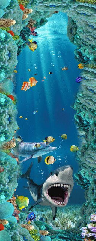 Dolphin #511